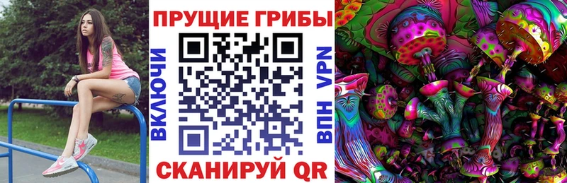 Псилоцибиновые грибы прущие грибы  Выборг 
